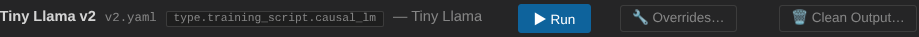 tiny_llama config viewer with Run button highlighted