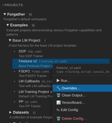 Finetune v2 project